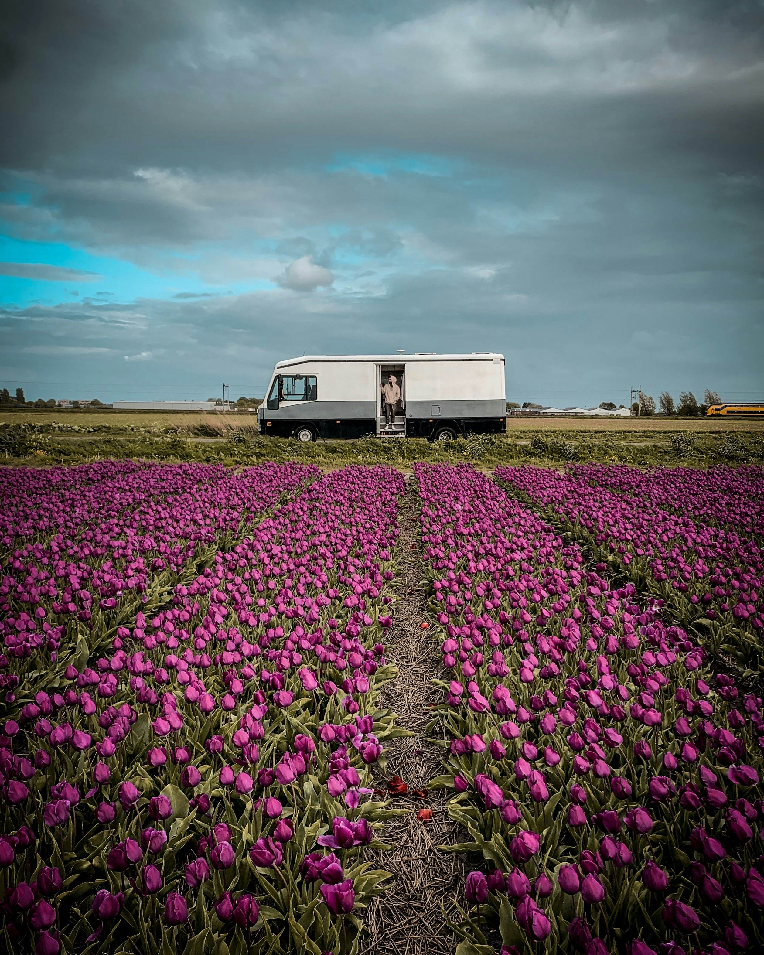 The best music festivals in Spain in 2023 - Lonely Planet